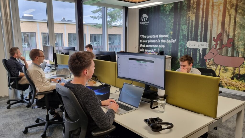 The Data Forest team working together at the office